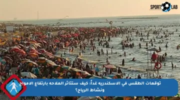 توقعات الطقس في الإسكندرية غداً: كيف ستتأثر الملاحة بارتفاع الأمواج ونشاط الرياح؟